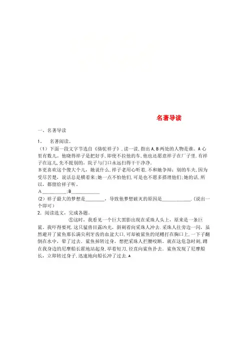 中考语文名著导读专题练习(2021-2022学年)