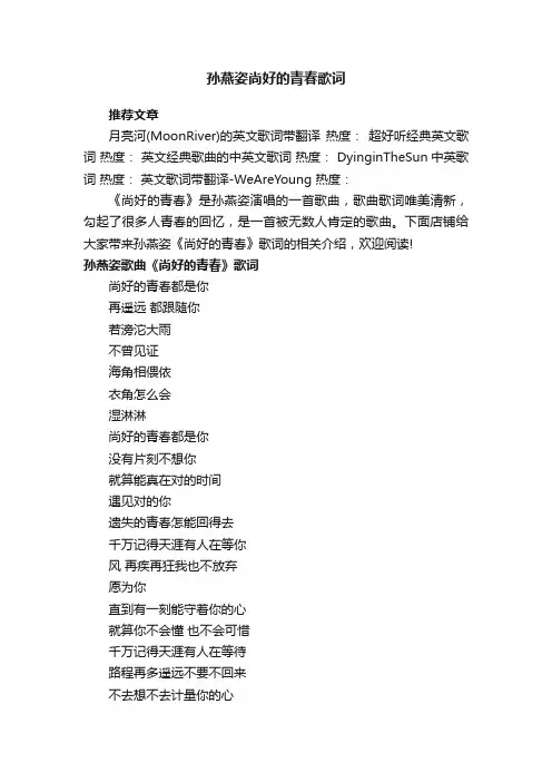 孙燕姿尚好的青春歌词