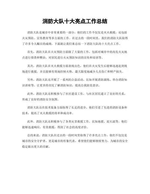 消防大队十大亮点工作总结