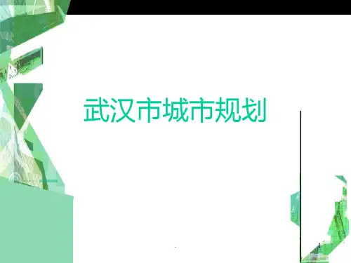 武汉市城市规划PPT课件