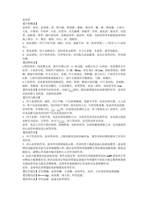 益母草