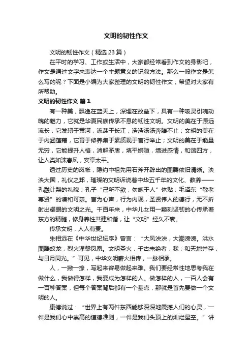 文明的韧性作文（精选23篇）