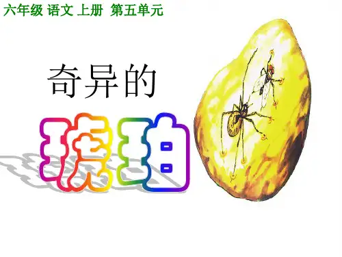 六年级上册语文课件-课文21  奇异的琥珀｜语文S版 (共20张PPT)