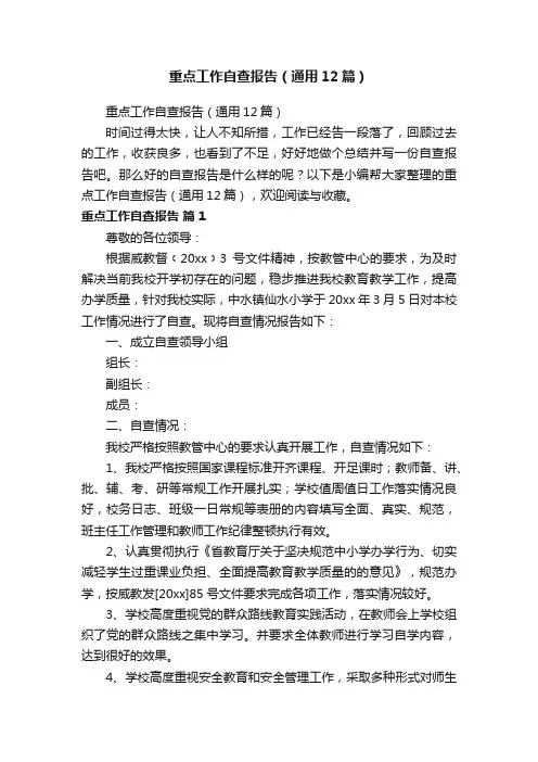 重点工作自查报告（通用12篇）