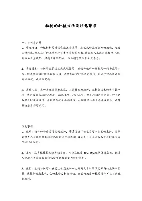松树的种植方法及注意事项