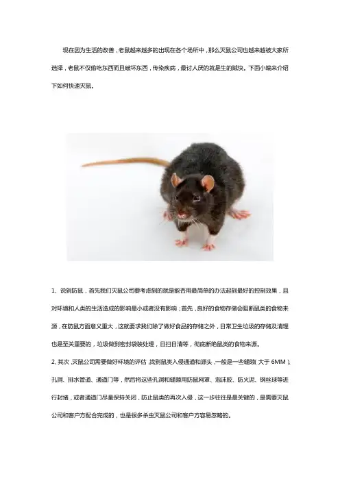 灭鼠公司如何有效防治老鼠