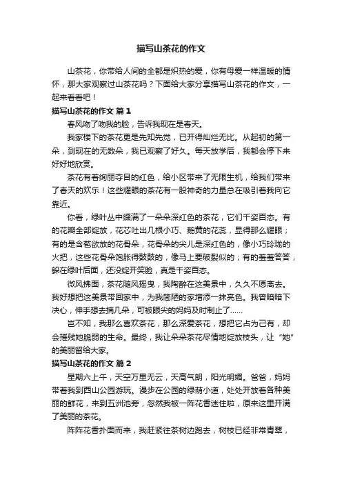 描写山茶花的作文（通用28篇）