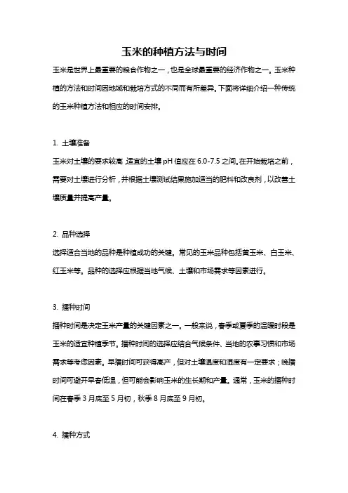 玉米的种植方法与时间