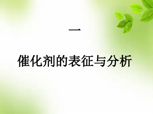 催化剂表征与分析