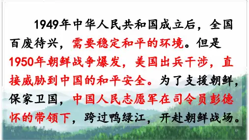 《青山处处埋忠骨》ppt课件