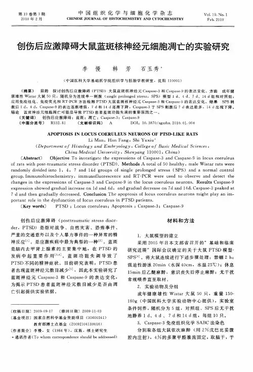 创伤后应激障碍大鼠蓝斑核神经元细胞凋亡的实验研究
