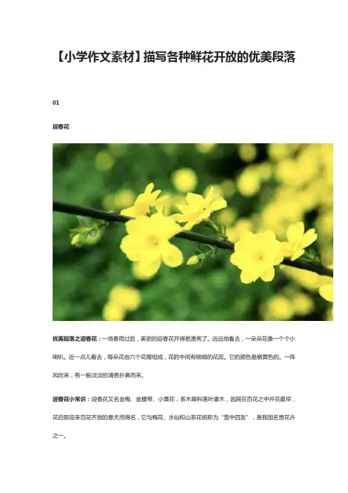 【小学作文素材】描写各种鲜花开放的优美段落