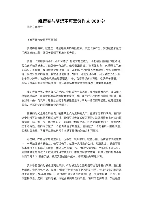 唯青春与梦想不可辜负作文800字