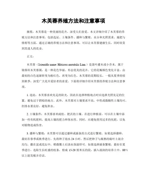木芙蓉养殖方法和注意事项