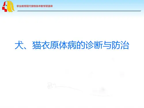 犬、猫衣原体病的诊断与防治.ppt