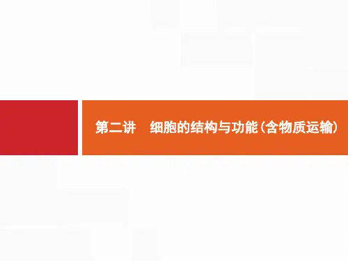 2020年山东省新高考生物二轮复习课件：专题一 第二讲 细胞的结构与功能(含物质运输) 
