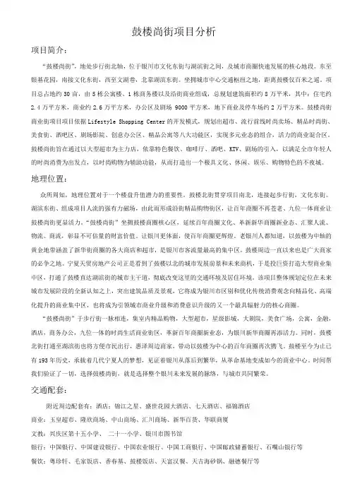 项目分析