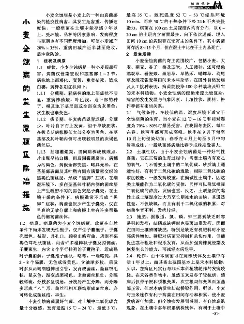 小麦全蚀病的发生原理及防治措施