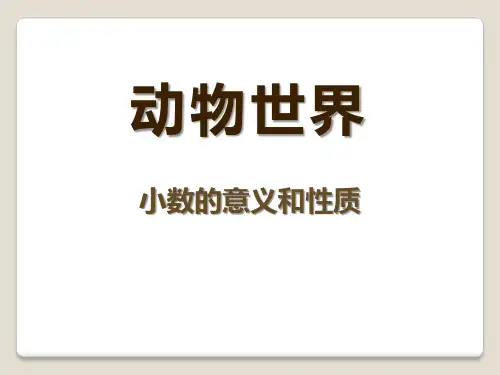 《动物世界》PPT课件(上课用)