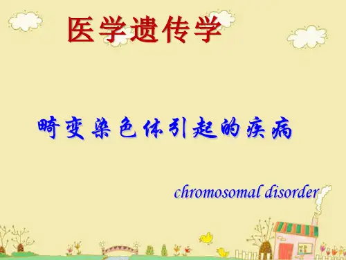 医学遗传学  染色体病