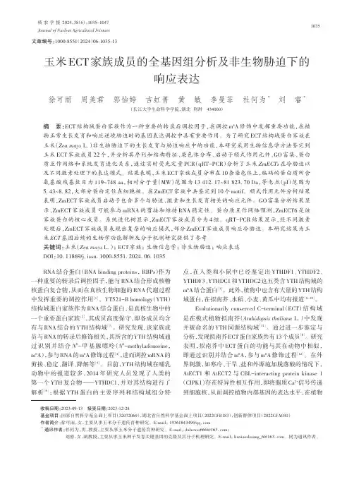 玉米ECT家族成员的全基因组分析及非生物胁迫下的响应表达