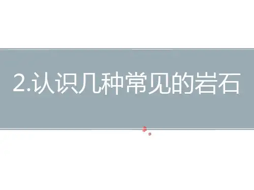 教科版四年级科学下册《认识几种常见的岩石》PPT课件
