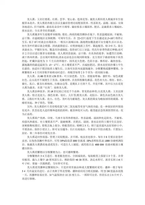 美人蕉