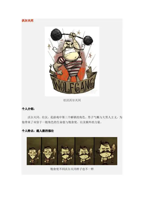 沃尔夫冈