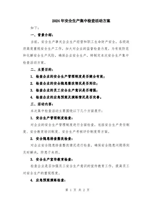 2024年安全生产集中检查活动方案