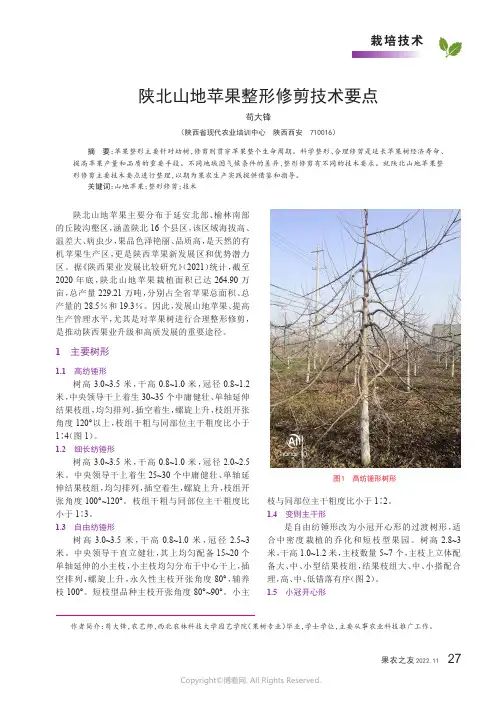 陕北山地苹果整形修剪技术要点