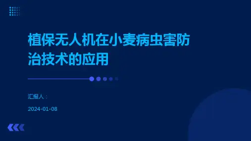 植保无人机在小麦病虫害防治技术的应用