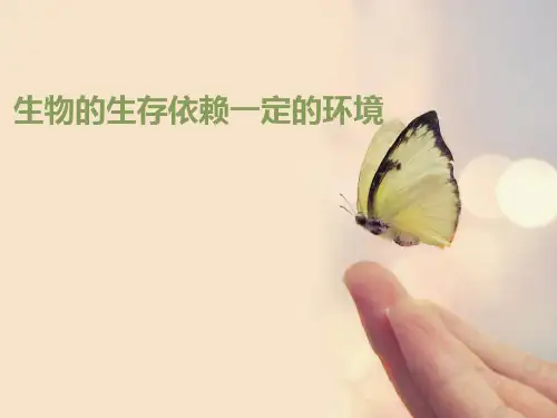 《生物的生存依赖一定的环境》PPT