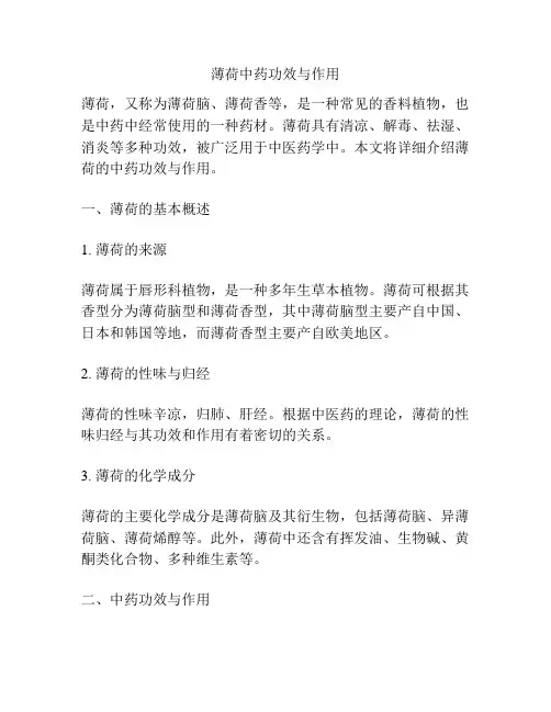 薄荷中药功效与作用