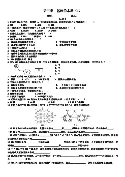 第三章 基因的本质(1)-练习【新教材】人教版(2019)高中生物必修二