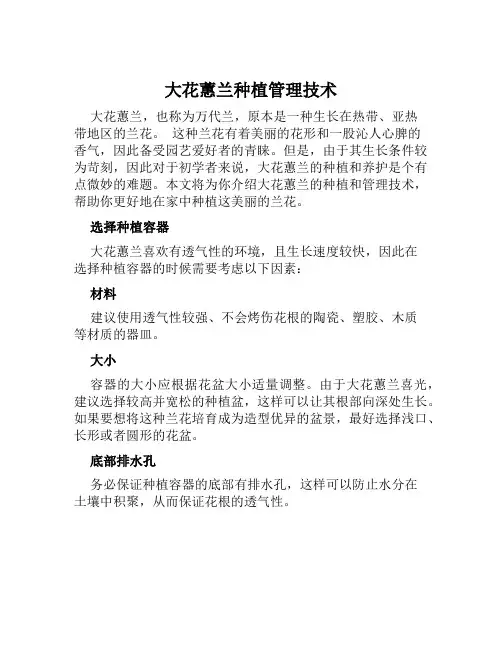 大花蕙兰种植管理技术