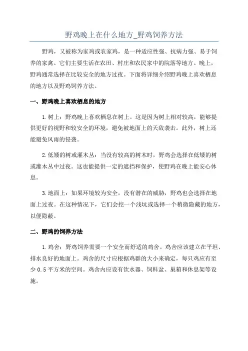 野鸡晚上在什么地方_野鸡饲养方法