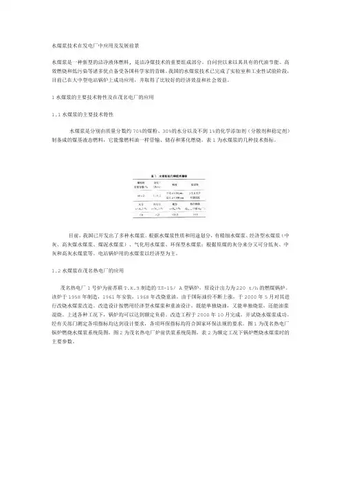 水煤浆技术在发电厂中应用及发展前景