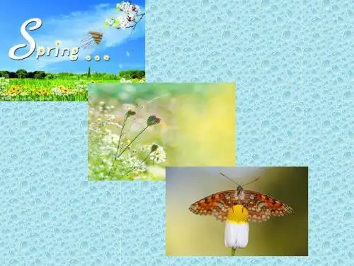 八年级英语下册 Unit 8 Save Our World lesson 47 Connected to Nature课件 (新版)冀教版