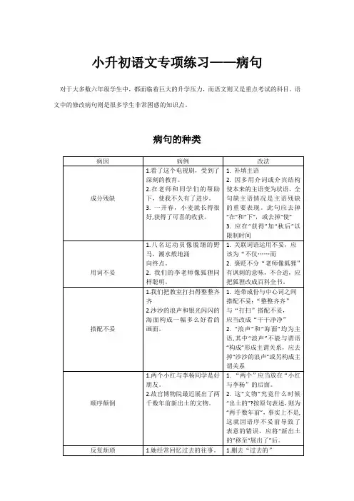 2023年小升初语文专项练习修改病句
