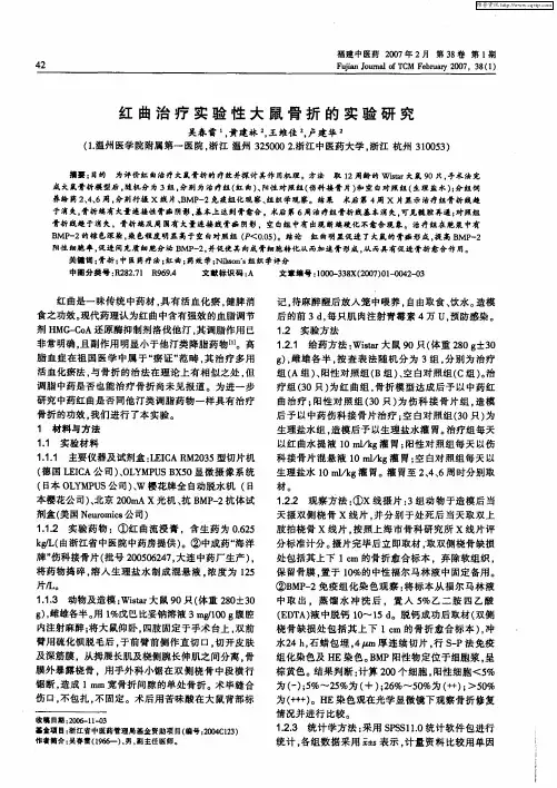 红曲治疗实验性大鼠骨折的实验研究