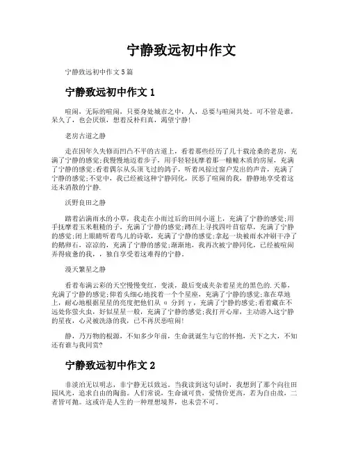 宁静致远初中作文