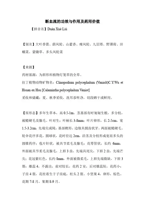 断血流的功效与作用及药用价值