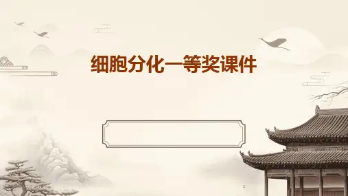 2024版年度细胞分化一等奖课件