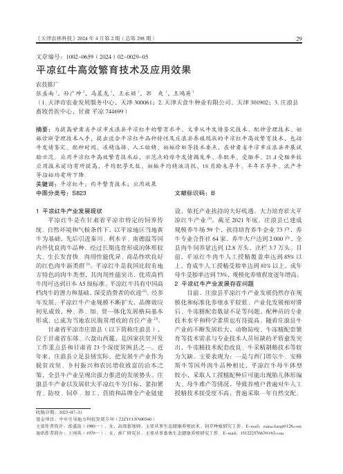 平凉红牛高效繁育技术及应用效果
