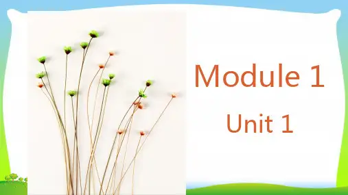 2021年外研版三年级英语下册Module1Unit1She’sverynice课件3.ppt