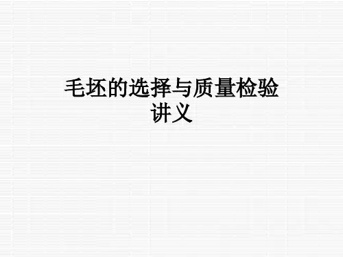 毛坯的选择与质量检验讲义