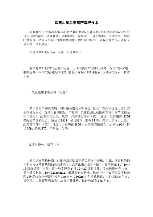 武夷山烟后稻高产栽培技术