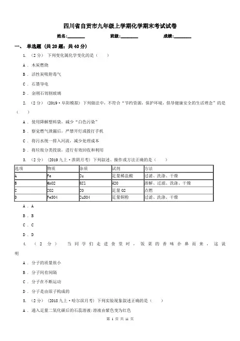 四川省自贡市九年级上学期化学期末考试试卷