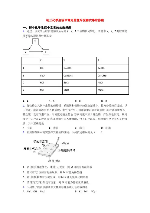 初三化学生活中常见的盐培优测试卷附答案