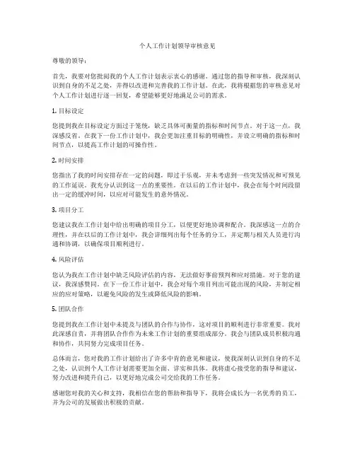 个人工作计划领导审核意见